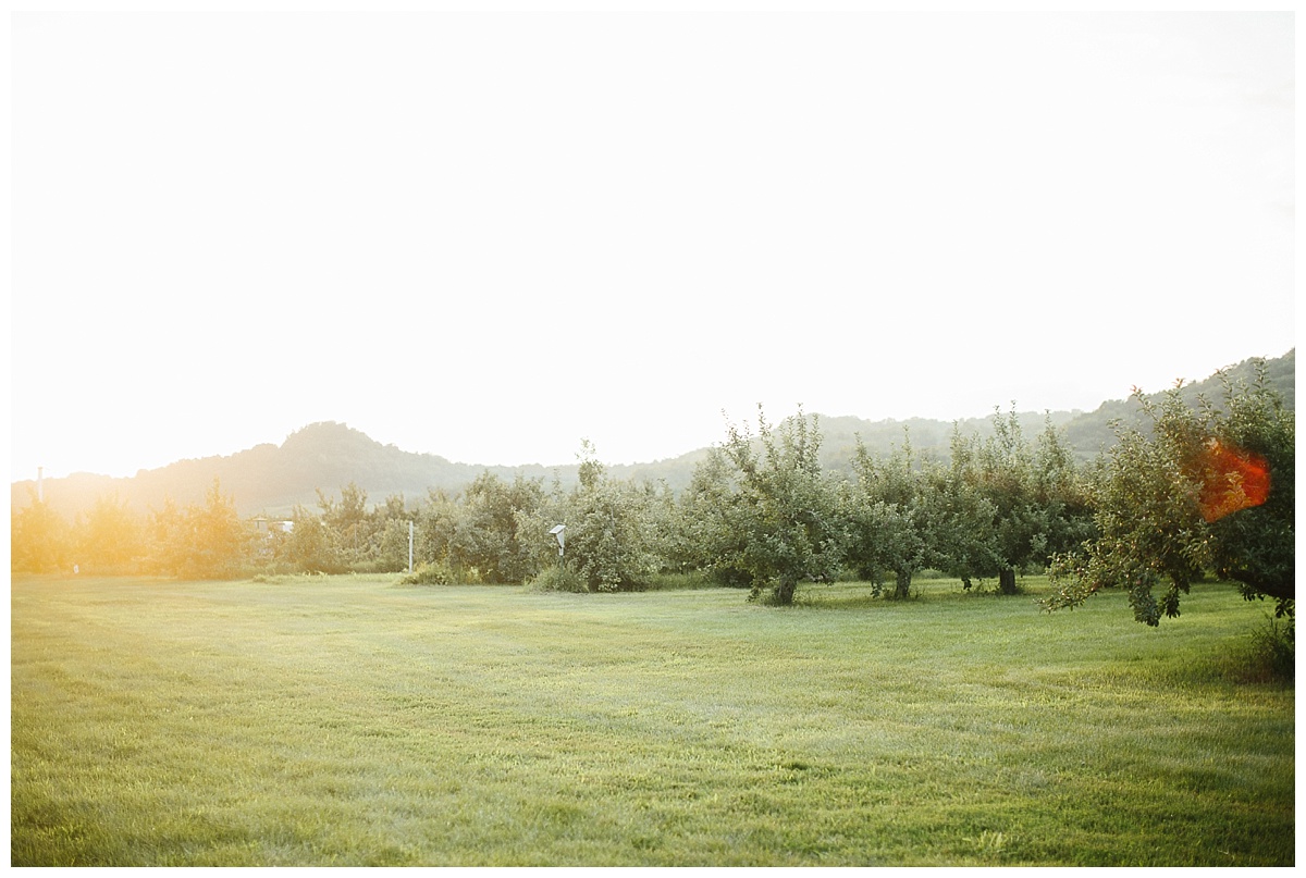 eckers apple farm, apple orchard, wedding venue, outdoor wedding`