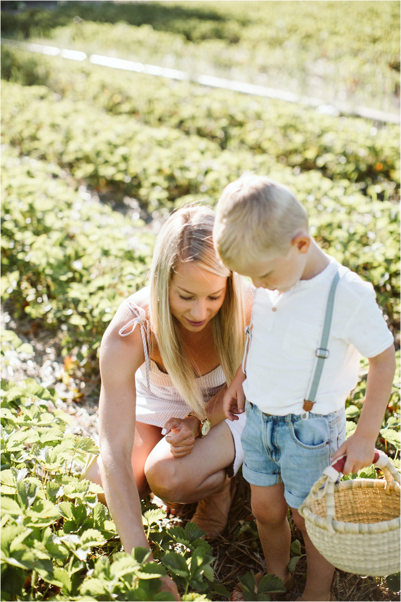 central wisconsin, stevens point, wausau, photographer, photography, lifestyle, family, strawberry patch, outdoors, natural, alysa rene photography